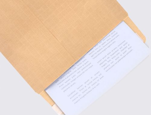 Envelope liderpapel n.1 salarios castanho 100x150mm sem janela pack de 1000 unidades , Liderpapel , 31933 , 8423473319332